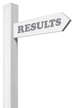 results-l psychometric assessments
